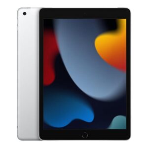 Apple ipad 10.2pulgadas 256gb wifi +