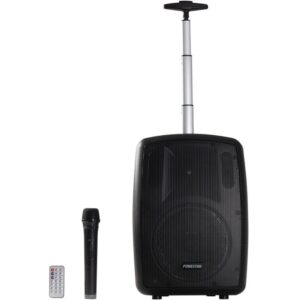 Altavoz portatil fonestar amply – t 100w con