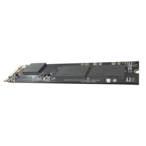 HS-SSD-E100NI-256G-2280