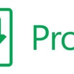 Microsoft project professional 2024 esd (descarga