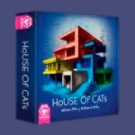 Juego mesa house of cats