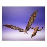 Figura tamashii nations godzilla x kong